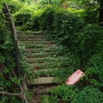 01_kensinger_highbridge_DSC_3958